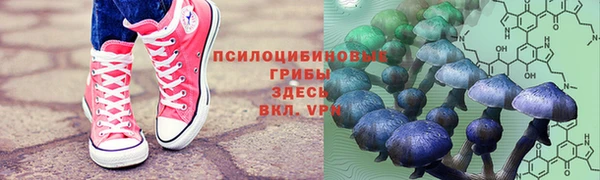 винт Арсеньев
