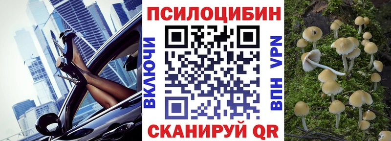 Купить где  Льгов  Псилоцибиновые грибы Cubensis 